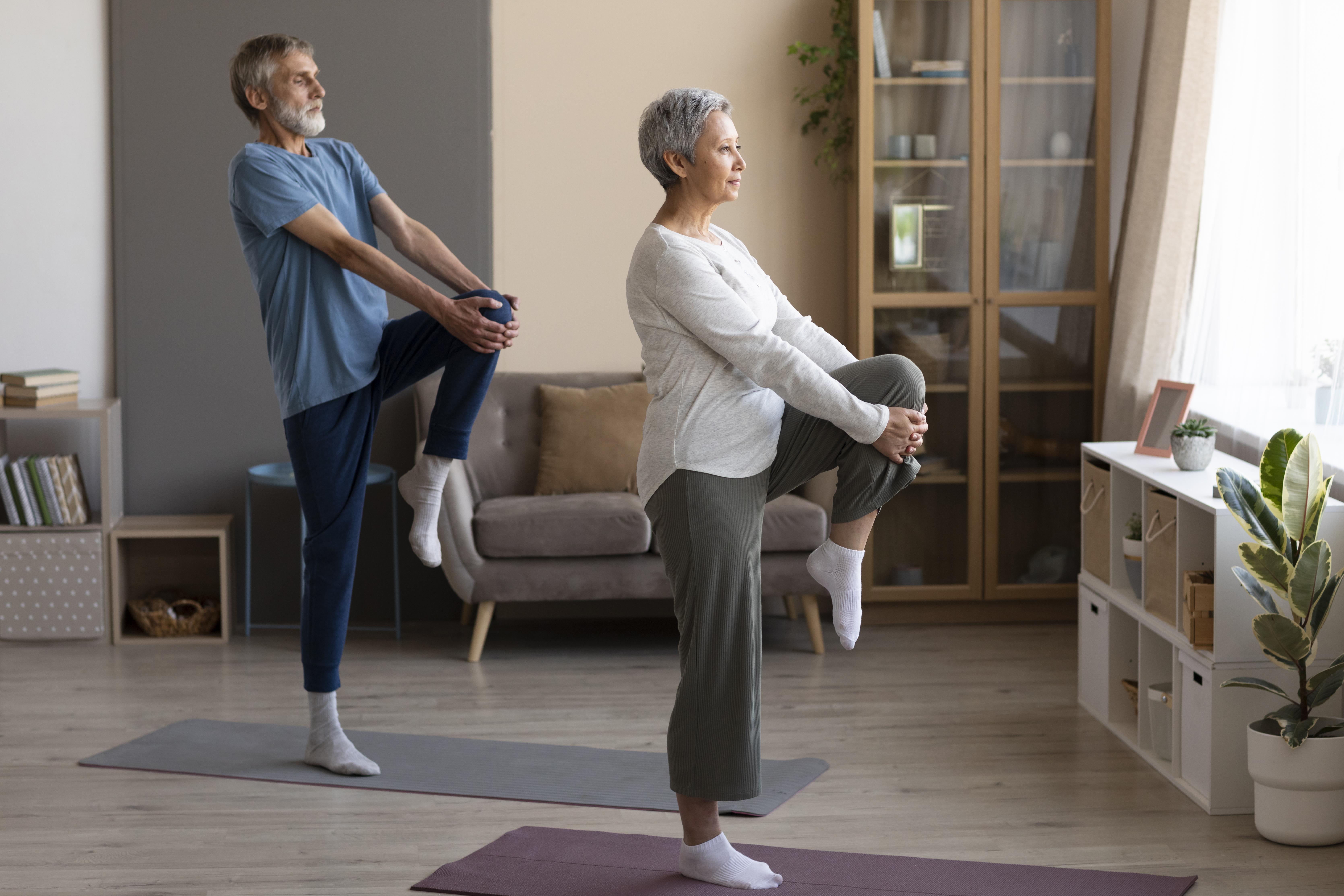Fisioterapia Geriátrica